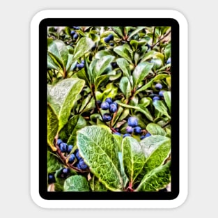 Blueberry Bush Serenade Sticker